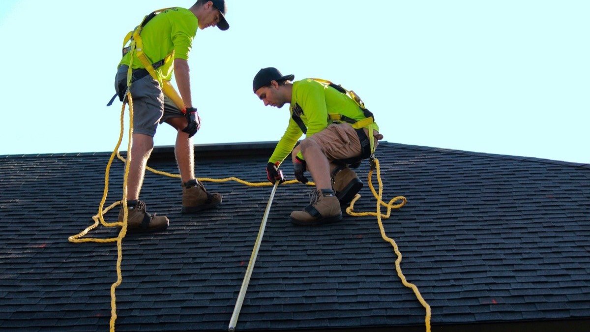Two roofers in high-visibility gear working on an asphalt shingle roof wearing safety harnesses