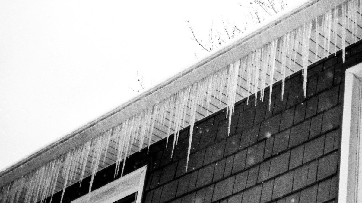 Long icicles hanging from the eaves of a shingled house in winter