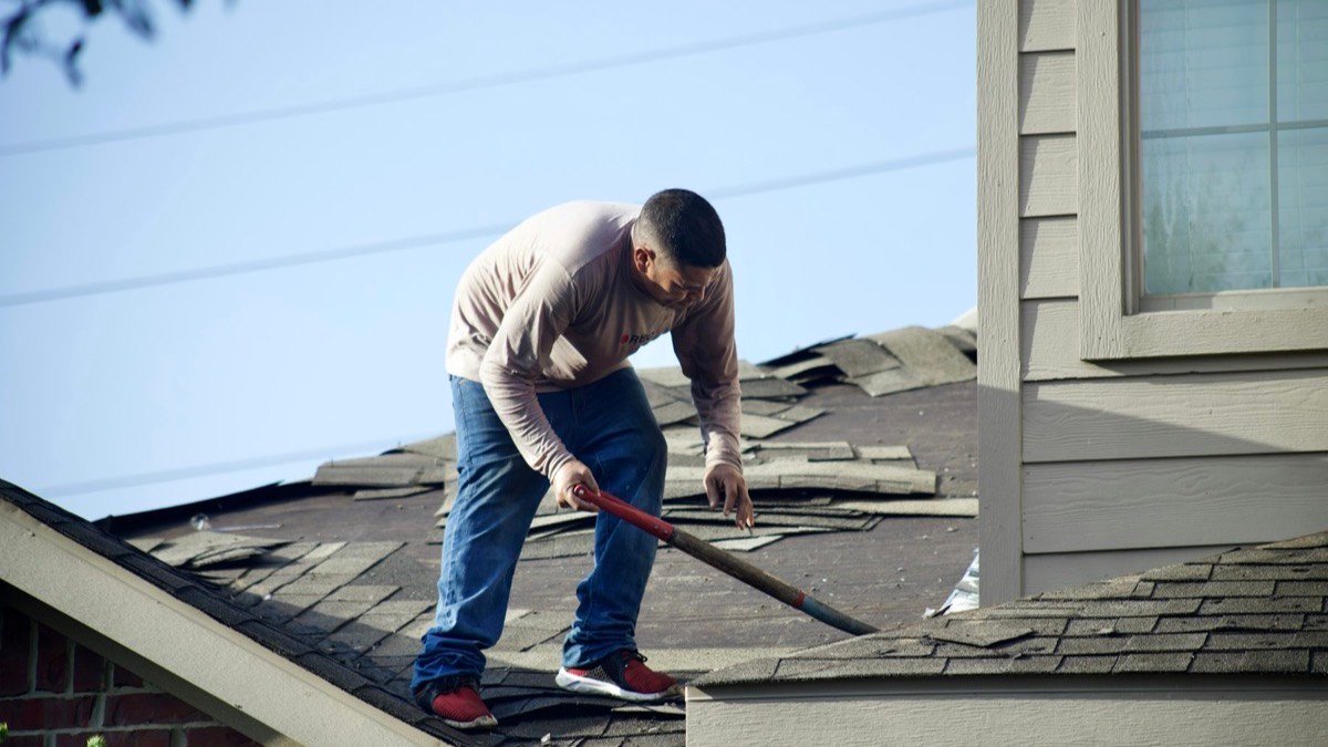 Roofer stripping worn shingles off a roof deck during a tear-off